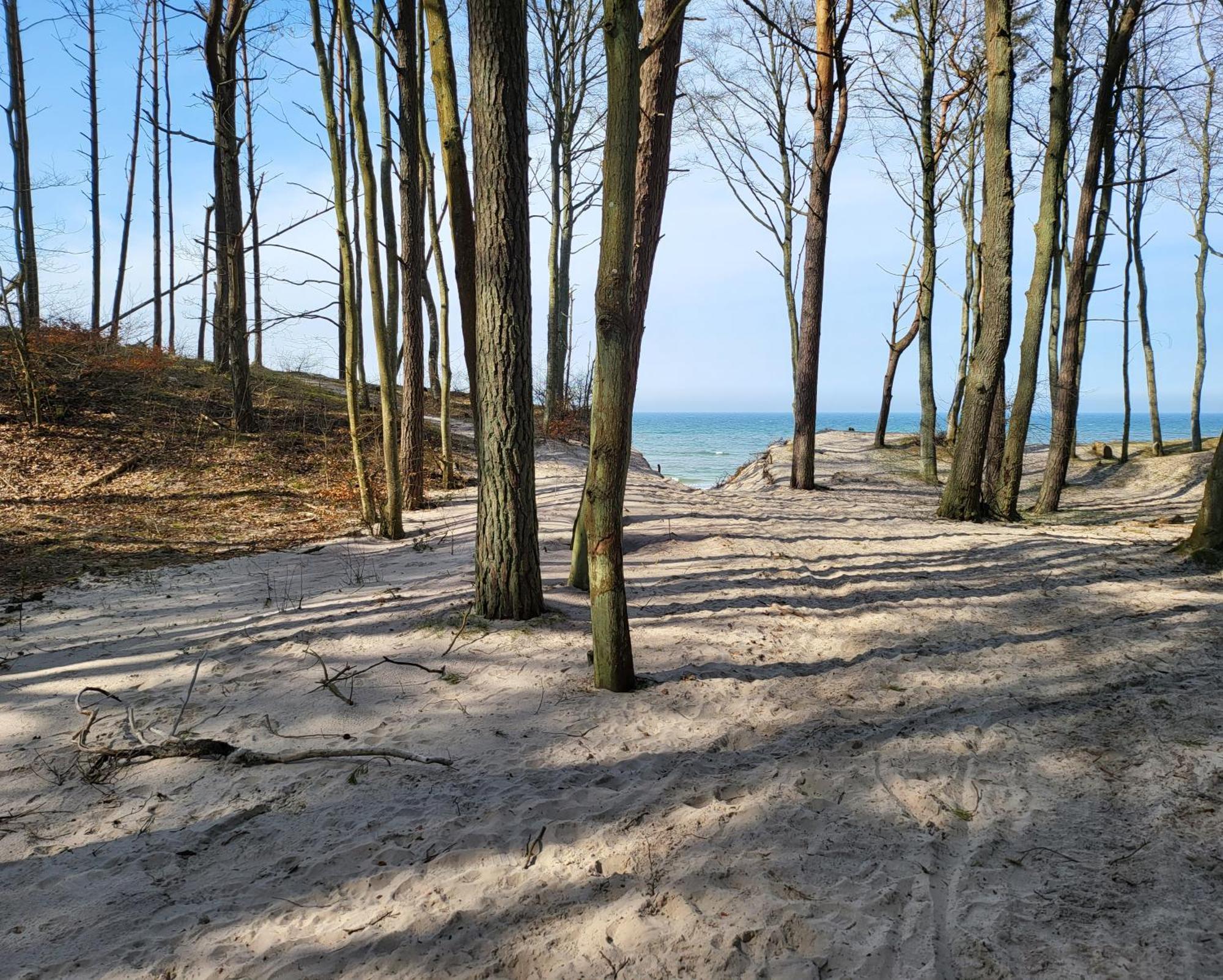 Willa Baltic Barns Brisa Wytowno Zewnętrze zdjęcie